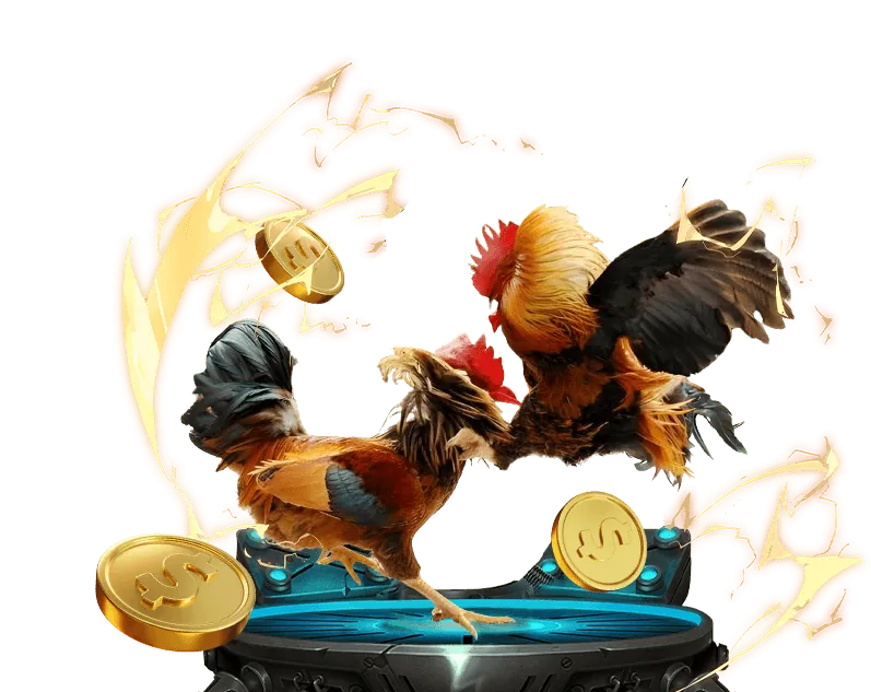 Cá cược đối ứng